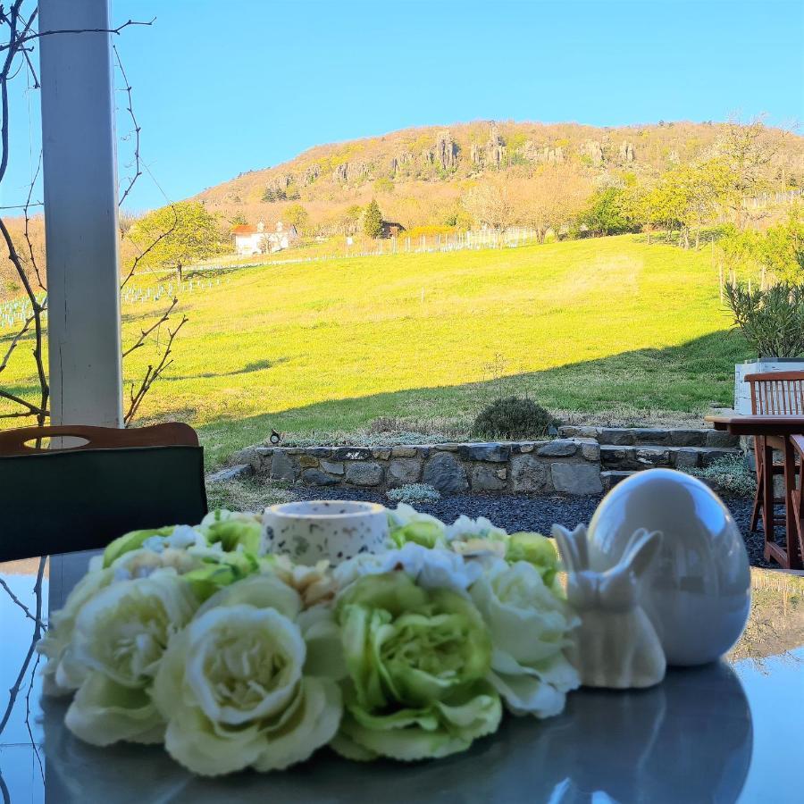 Villa Izabella Badacsonytördemic Εξωτερικό φωτογραφία