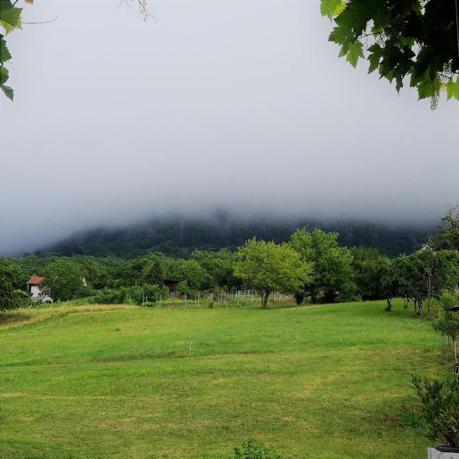 Villa Izabella Badacsonytördemic Εξωτερικό φωτογραφία